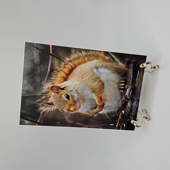 4x6 Squirrel Photography Cute Squirrel Oil Painting Print - Picture 4 of 4